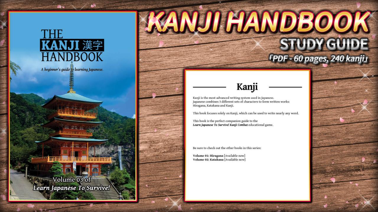 (1.76$) Learn Japanese To Survive! Kanji Combat - Study Guide DLC Steam CD Key