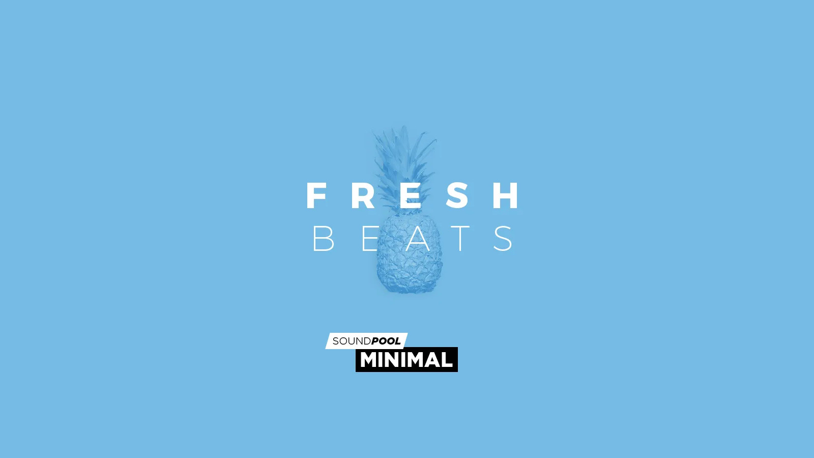 (5.65$) MAGIX Soundpool Fresh Beats ProducerPlanet CD Key