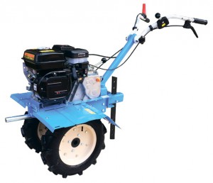walk-bak traktoren Workmaster МБ-2 kjennetegn, Bilde